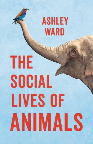 SOCIAL LIVES OF ANIMALS