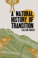 A NATURAL HISTORY OF TRANSITION