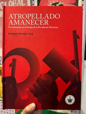 ATROPELLADO AMANECER