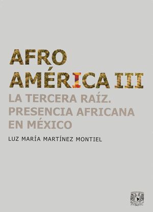 AFROAMÉRICA III