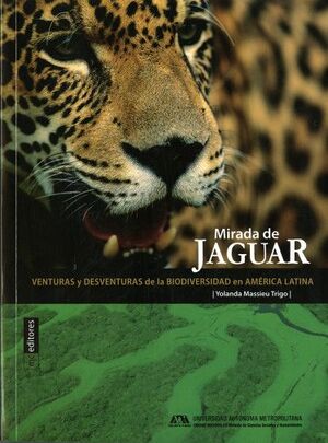 MIRADA DE JAGUAR