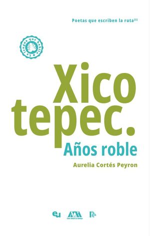 XICOTEPEC