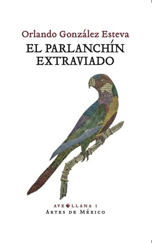 EL PARLANCHÍN EXTRAVIADO