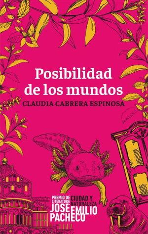 POSIBILIDAD DE LOS MUNDOS