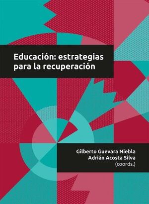 EDUCACION: ESTRATEGIAS PARA LA RECUPERACION