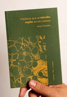 PALABRAS QUE EL MICELIO REPITE EN MI CABEZA