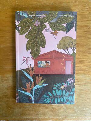 LIBRO DE HALLAZGOS