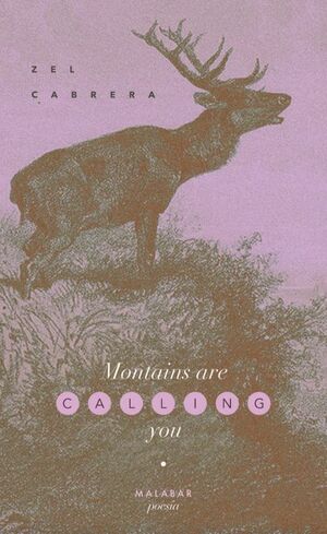 MONTAINS ARE CALLING YOU