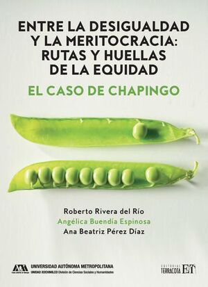 ENTRE LA DESIGUALDAD Y LA MERITOCRACIA: RUTAS Y HUELLAS DE LA EQUIDAD