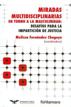 MIRADAS MULTIDISCIPLINARIAS EN TORNO A LA MASCULINIDAD: DESAFÍOS PARA LA IMPARTICIÓN DE JUSTICIA