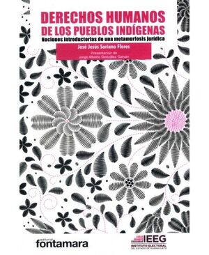 DERECHOS HUMANOS DE LOS PUEBLOS INDÍGENAS