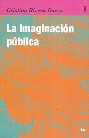 LA IMAGINACION PUBLICA