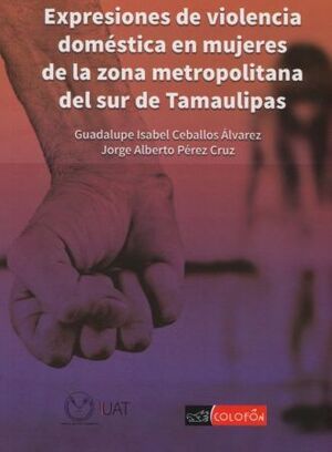 EXPRESIONES DE VIOLENCIA DOMESTICA EN MUJERES DE LA ZONA METROPOLITANA DEL SUR DE TAMAULIPAS