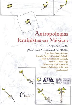 ANTROPOLOGÍAS FEMINISTAS EN MÉXICO: EPISTEMOLOGÍAS, ÉTICAS, PRÁCTICAS Y MIRADAS DIVERSAS