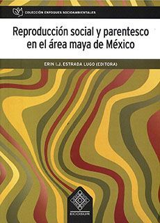 REPRODUCCIÓN SOCIAL Y PARENTESCO EN EL ÁREA MAYA DE MÉXICO