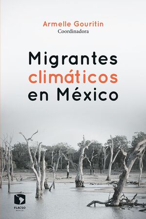 MIGRANTES CLIMÁTICOS EN MÉXICO