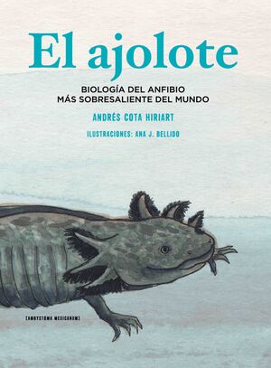 EL AJOLOTE