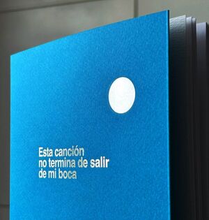 ESTA CANCIÓN NO TERMINA DE SALIR DE MI BOCA