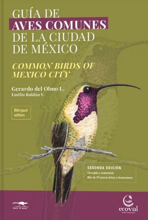 GUIA DE AVES COMUNES DE LA CIUDAD DE MÉXICO