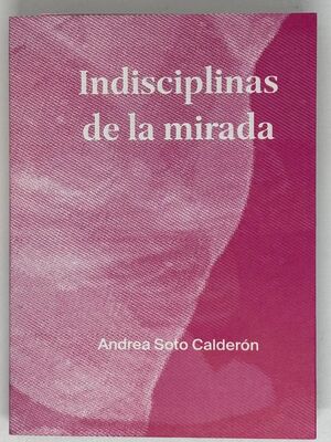 INDISCIPLINAS DE LA MIRADA