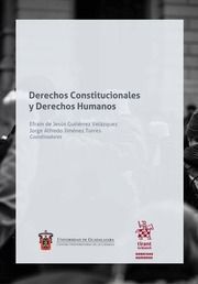 DERECHOS CONSTITUCIONALES Y DERECHOS HUMANOS