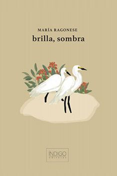 BRILLA, SOMBRA