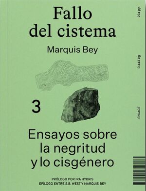 FALLO DEL CISTEMA