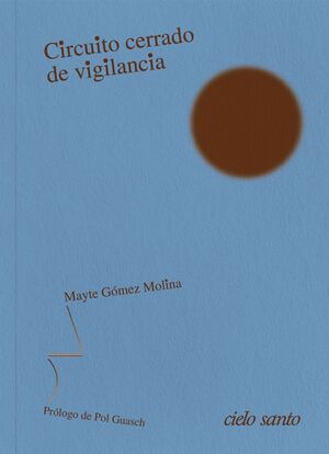 CIRCUITO CERRADO DE VIGILANCIA