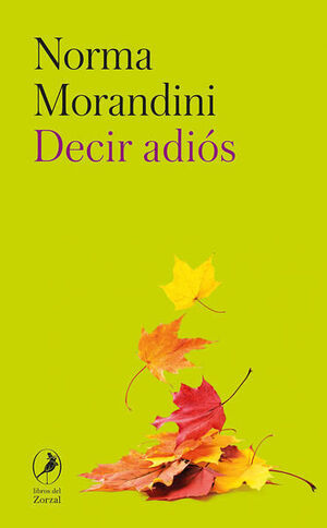 DECIR ADIÓS