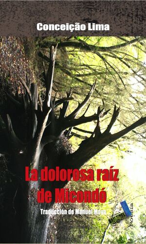 LA DOLOROSA RAÍZ DEL MICONDÓ