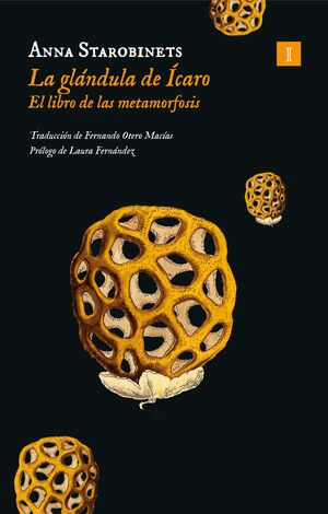 LA GLÁNDULA DE ÍCARO