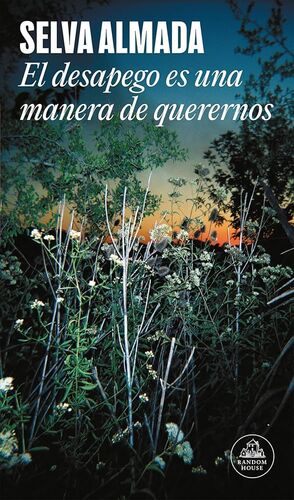 EL DESAPEGO ES UNA MANERA DE QUERERNOS