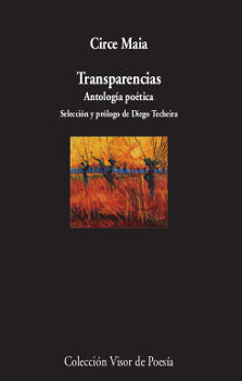 TRANSPARENCIAS