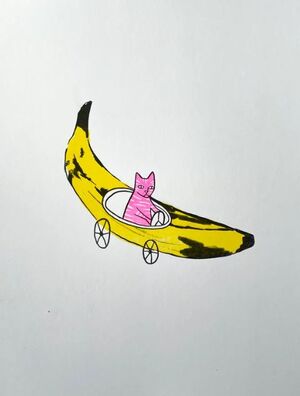 PRINT GATO BANANA
