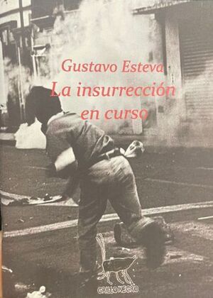 LA INSURRECCIÓN EN CURSO