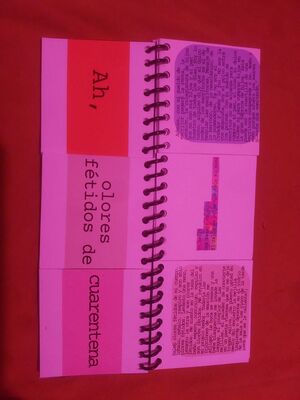 PENSAMIENTOS PANDÉMICOS COLECTIVOS