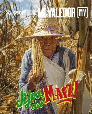 MI VALEDOR #36