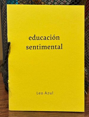 EDUCACIÓN SENTIMENTAL
