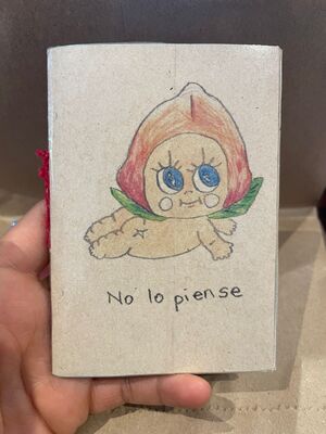 FANZINE NO LO PIENSE