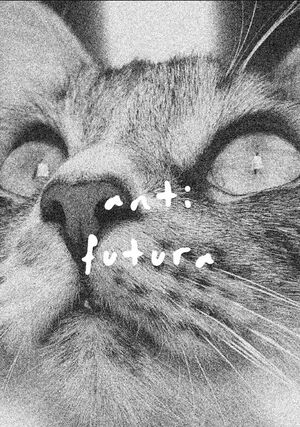 FANZINE GATO