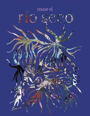 TRAZAR EL RIO SECO II