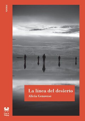 LA LÍNEA DEL DESIERTO