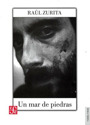 UN MAR DE PIEDRAS / RAÚL ZURITA ; EDICIÓN DE HÉCTOR HERNÁNDEZ MONTECINOS.