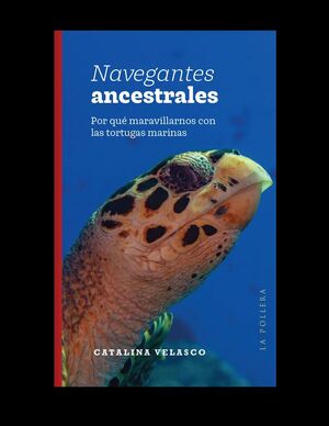 NAVEGANTES ANCESTRALES: POR QUÉ MARAVILLARNOS CON LAS TORTUGAS MARINAS