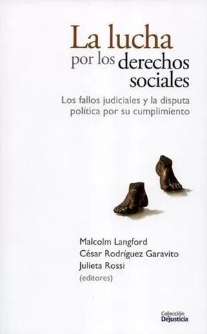 LA LUCHA POR LOS DERECHOS SOCIALES