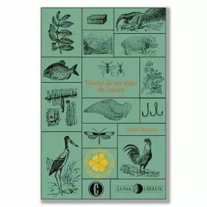 DIARIO DE UN NIÑO DE CENIZA