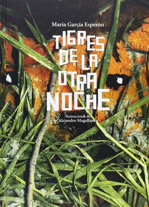 TIGRES DE LA OTRA NOCHE