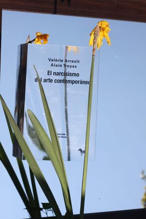 EL NARCISISMO DEL ARTE CONTEMPORÁNEO