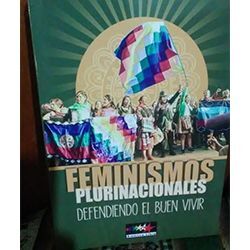 FEMINISMOS PLURINACIONALES