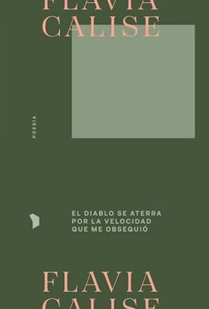 EL DIABLO SE ATERRA POR LA VELOCIDAD QUE ME OBSEQUIO